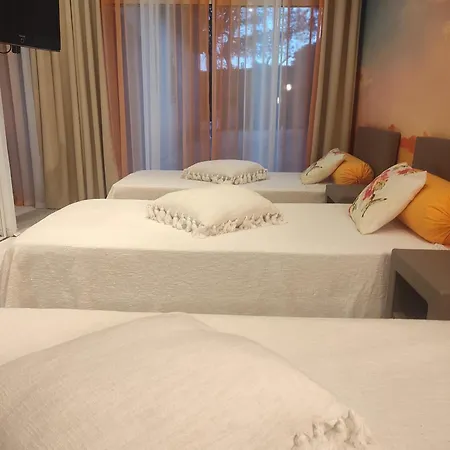 فيلة Chantilly *